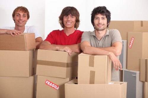 Seasonal boxes organized for mobile self storage in Highgate